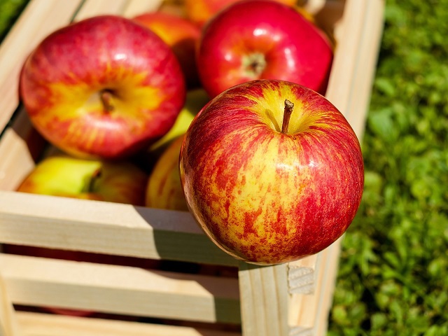 Appels in houten kistje