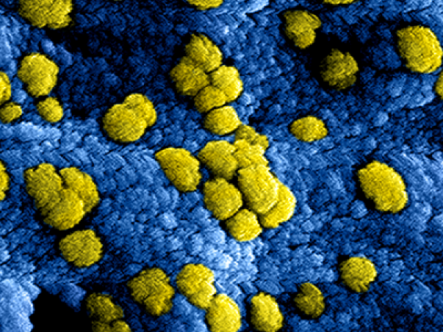 Nieuw coronavirus in China